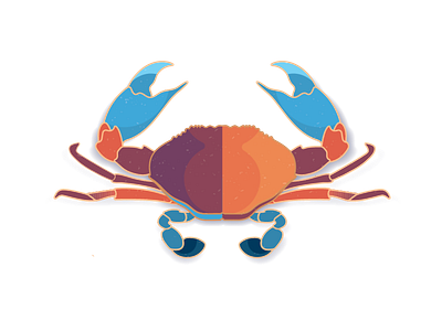 Maryland Crab crab design illustration maryland old bay
