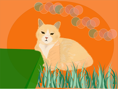 Cute cat 🐈😸 graphic design illustration vector