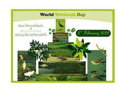World Wetlands Day - Save WETLANDS & Save EARTH...🌳🌳🌳 awareness poster poster design wetlands poster worlds wetlands day