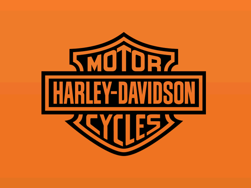 Harley Owner Group Logo bikes branding eagle harley harley davidson illustration logo sketch