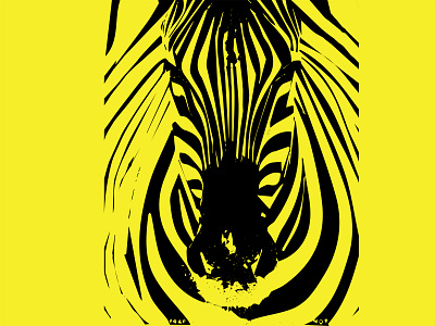Silhouette animal animal illustration asifhaque07 design illustration illustration art minimal vector wildlife zebra