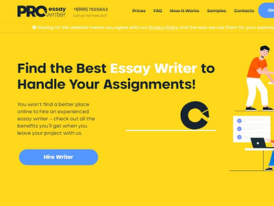 Proessaywriter Design branding design essay product writer