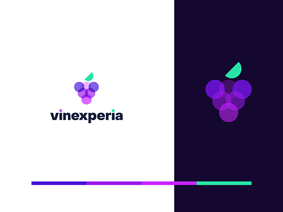 Mobile technology provider for wine producers and consumers branding design identity logo mark material wine