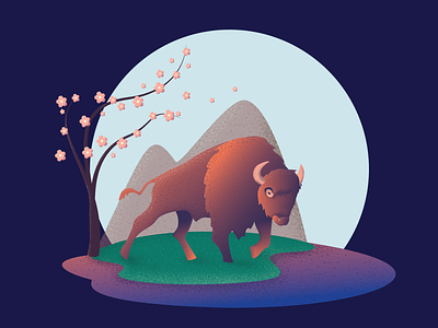 Bison illustration illustration