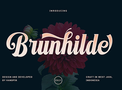 Brunhilde script font brunhilde design display font elegant font handpik sign