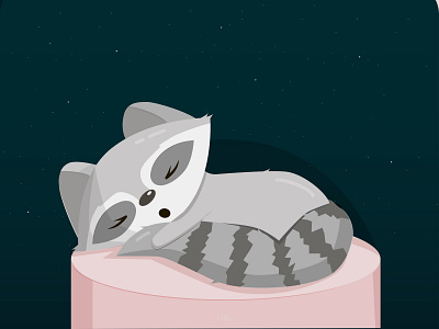 Sleeping raccoon design illustration illustrator night raccoon sleep sleeping vector єнот