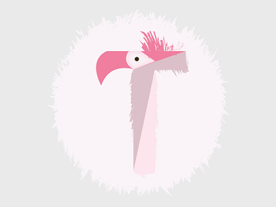 Flamingo bird flamingo florida illustration pink t t letter