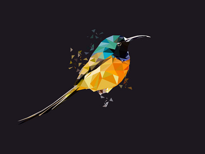 Poly Bird 3d bird geometric logo mark poly polygon