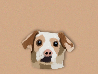 dog animation branding creative design dog dog illustration dogs illustration illustrator logo photoshop sketch vector