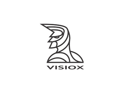 Visiox hero visiox