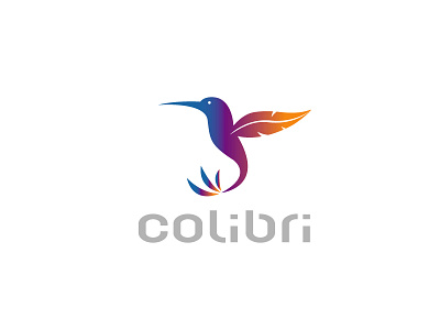 Colibri bird boldflower colibri hummingbird logo