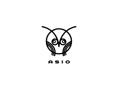 Asio asio bird black boldflower owl