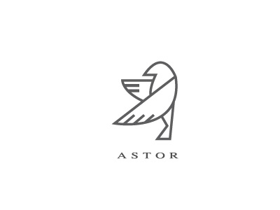 Astor astor bird boldflower wing