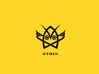 Strix bird black boldflower night owl strix
