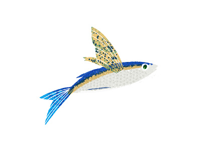 'Pescadito volador' flying fish colima digital fish flying illustration titorama