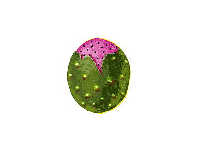 'Pitaya' colima fruit illustration pitaya titorama