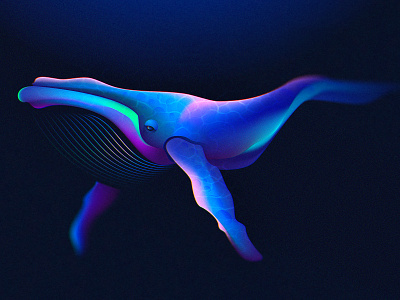 Whale 🐋 design gradient graphic design illustration simple whale