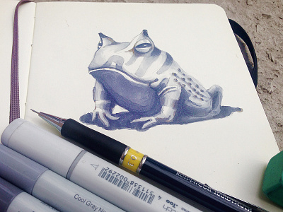 Horned Frog frog horned illustration markers paper sketch sketches