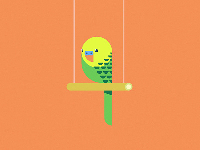 Budge bird budgerigar funny illustration parrot simple swing