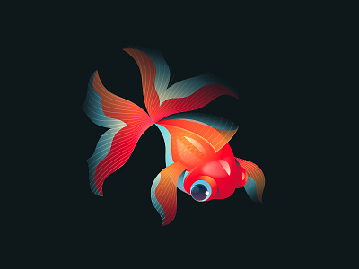 Fish fish gradients illustration reflection