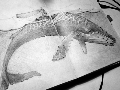 Whale Hunting drawing hunting ocean sketch sketchbook whale