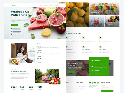 Fruito - Vegetable & Fruit Shop Landing Page illustrator