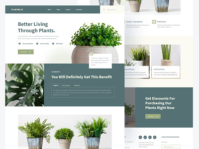 Planting – Landscape & Gardening Landing Page