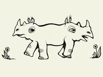 Rhinos illustration