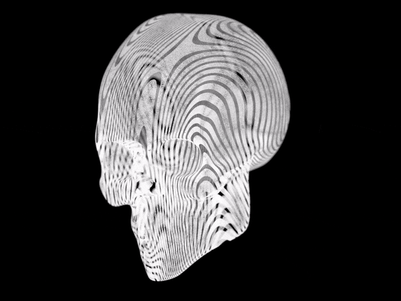 Scull3d 3d 4d cinema4d head human jaw male medical skeleton skull teeth