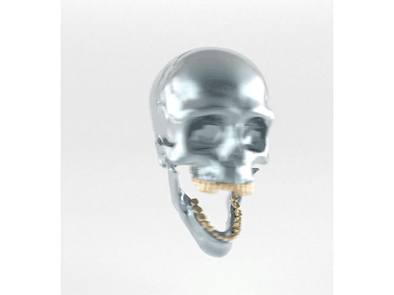 Scull 3d 4d cinema4d head human jaw male medical skeleton skull teeth