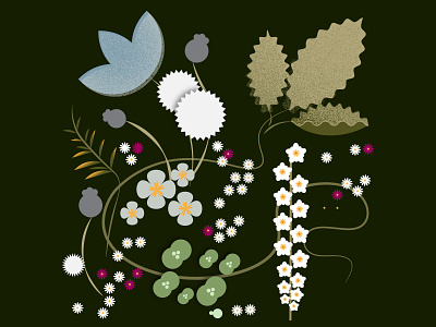 wildflowers adobeillustrator flower flowers illustration