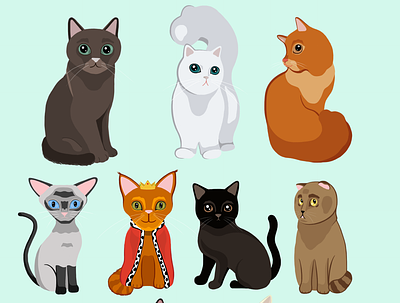 Cute Cats cats illustration illustrator vector vector illustration