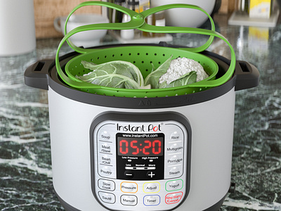 Instant Pot render