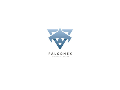Falcon Flight Triangular Logo plane vision