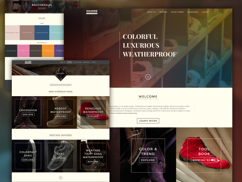 Leather Website ui fashion leather color web