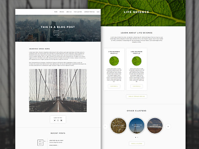 Blog and Case Study Pages blog template ui web website