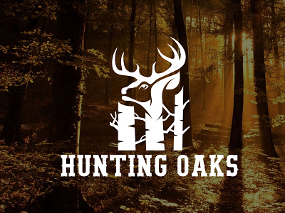 HUNTING OAKS branding deer hunting design elegant design graphic design hungry deer hunting hunting oaks icon logo logodesign minimal outdoors hunting vintage logo