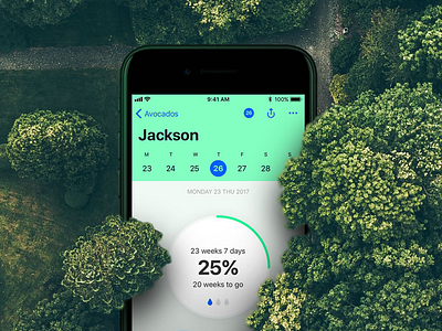 Avocado iOS App Concept app design avocado calendar growth ios 11 ios app iphone mobile progress tracking ui ux design vegan