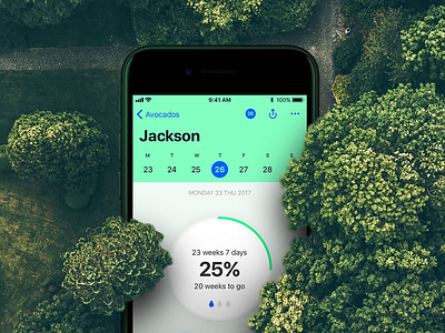 Avocado iOS App Concept