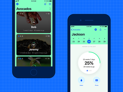 Avocados Growth Tracking iOS 11 App