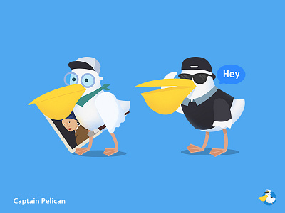 Captain Pelican