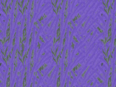 Lavender Field art background digital digitalart drawing floral flower flowers illustration pattern seamless surface art wallpaper