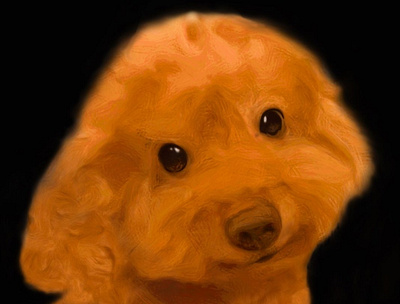 MOMO animal art design digitalart dog illustration