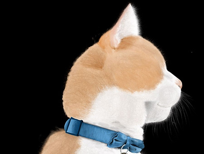 Naidong animal art cat design digitalart illustration