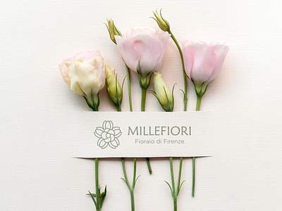 Millefiori | Brand & Packaging Design