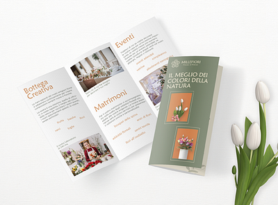 Brochure Leaflet Design advertising brand identity branding brochure brochure design design graphic design leaflet logo