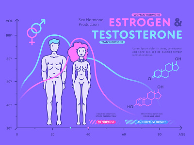 Sex Hormone Production. Estrogen & Testosterone.
