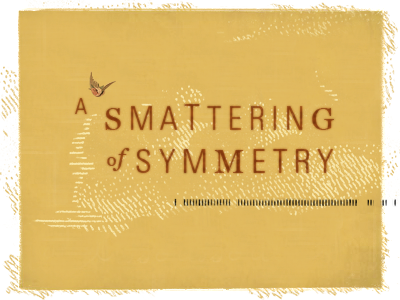 A Smattering of Symmetry blog branding design header identity typography
