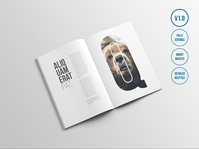 16 Free Magazine Mockups