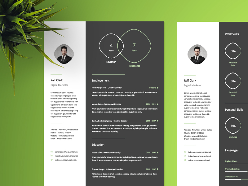 Infographic Resume Template by Wassim on Dribbble